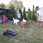 Olenka -