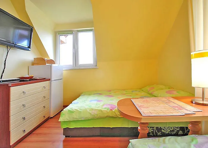 בית אירוח Olenka - *