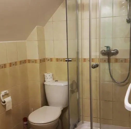 בית אירוח Olenka - *