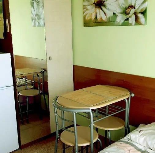 בית אירוח Olenka - *