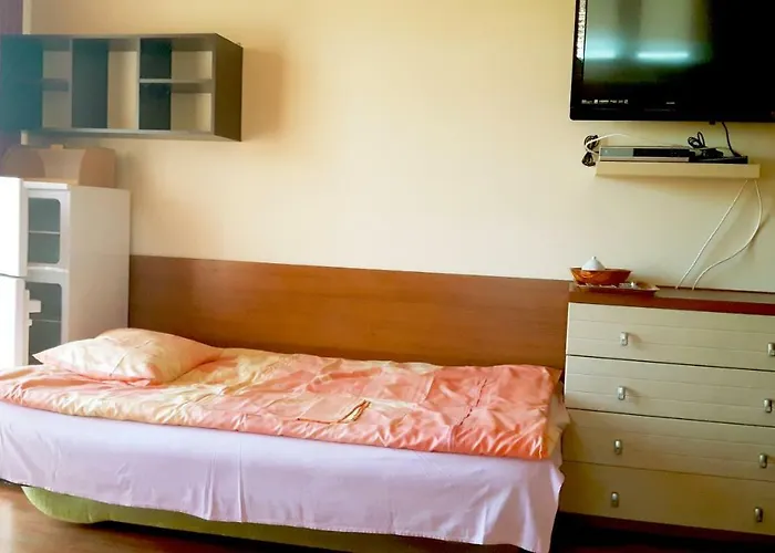 בית אירוח Olenka - *