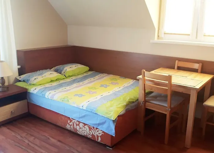 בית אירוח Olenka - *