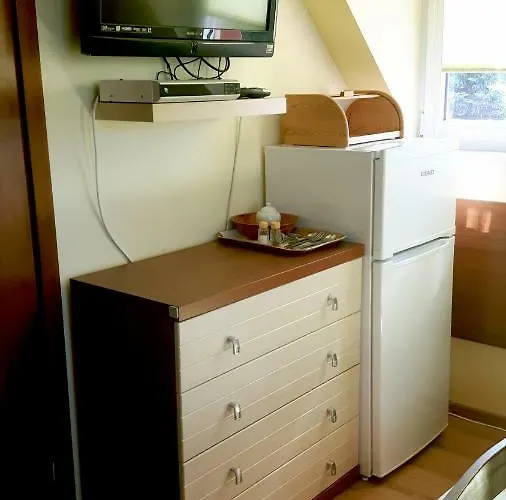 בית אירוח Olenka - *